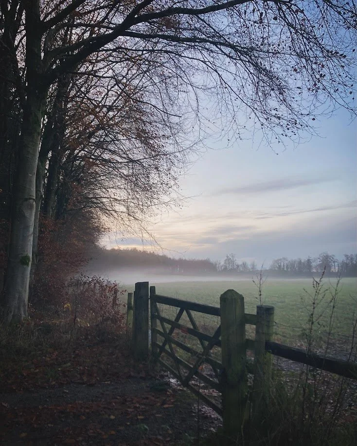 A rural landscape at dawn with a dirt path, a wooden gate, tall trees on the left, a grassy field, and fog near the horizon.