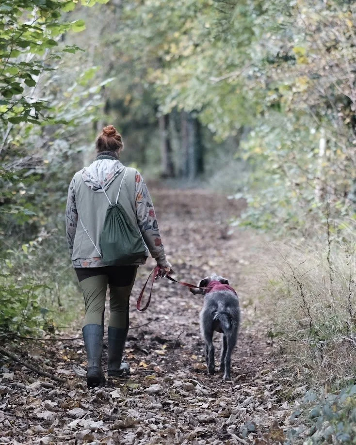 A person walking a dog along a wooded trail surrounded by trees and fallen leaves.