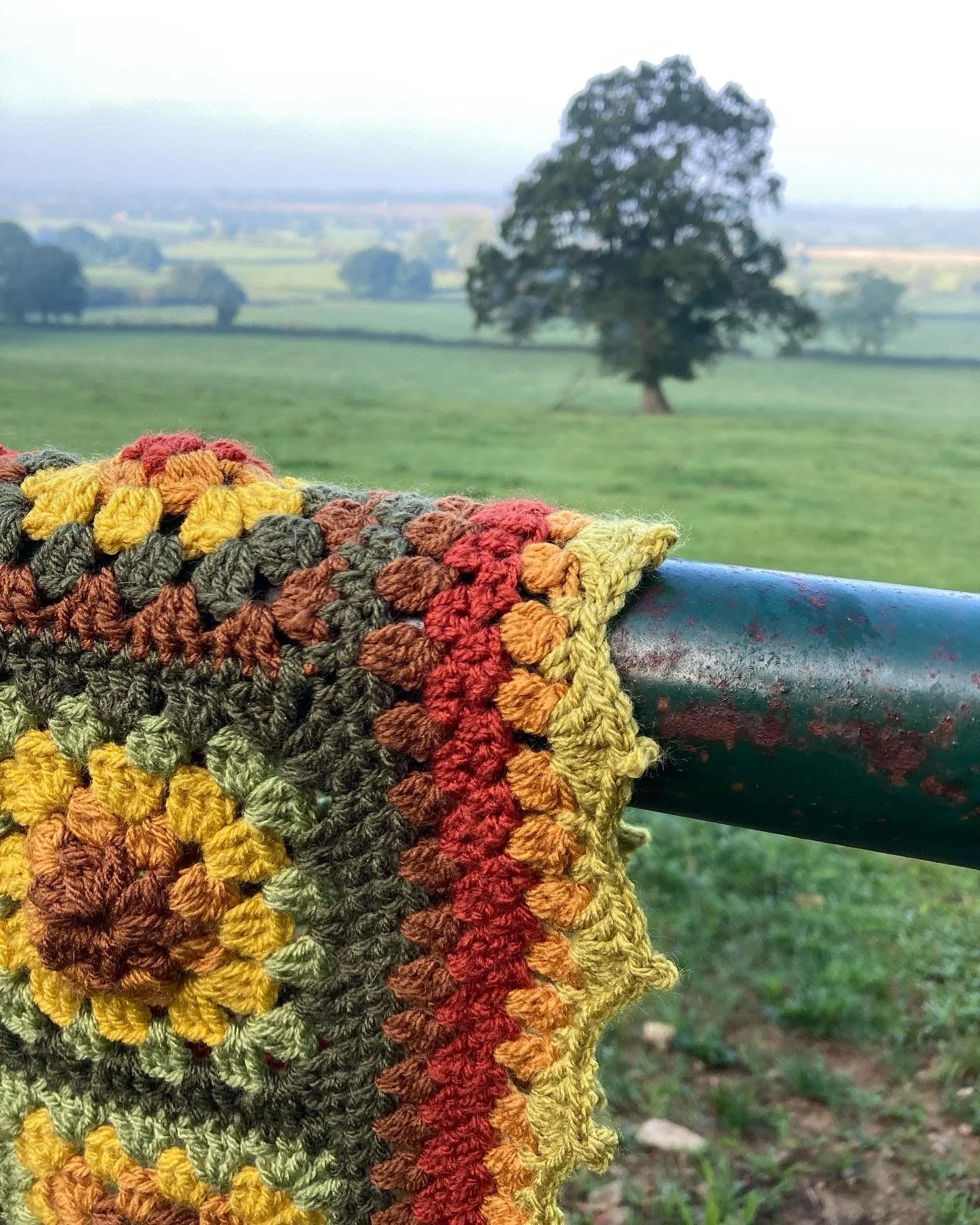 foreverblanket.jpg