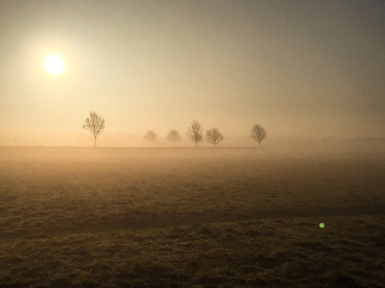 A foggy landscape at sunrise with a line of trees in the distance, the sun shining brightly in the sky.