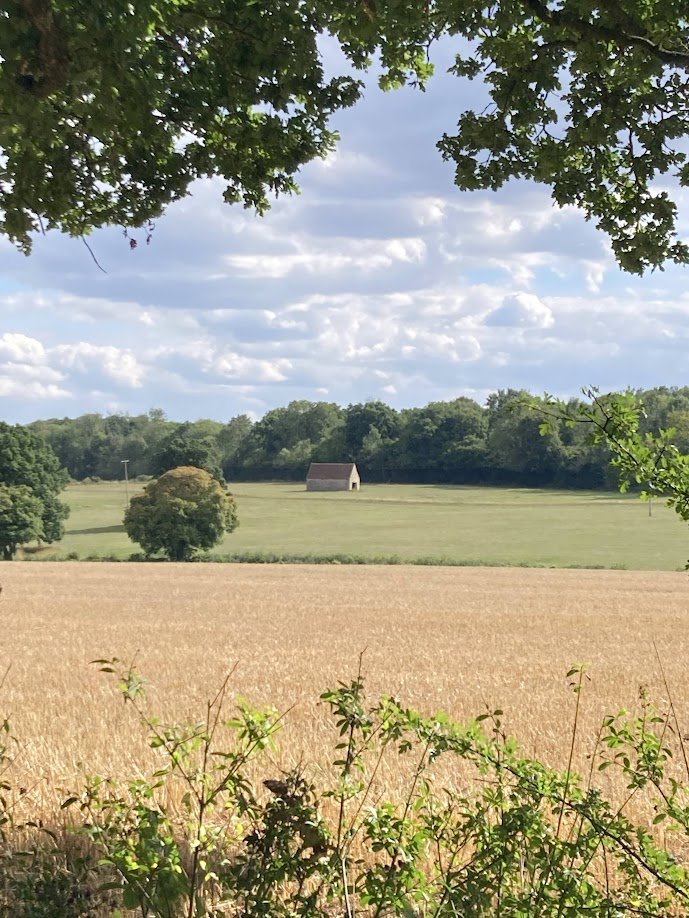A rural landscape with a field in the foreground, next to green trees and a small barn in the distance under a partly cloudy sky.