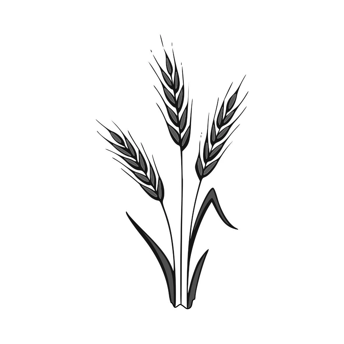 Black and white illustration of wheat stalks.