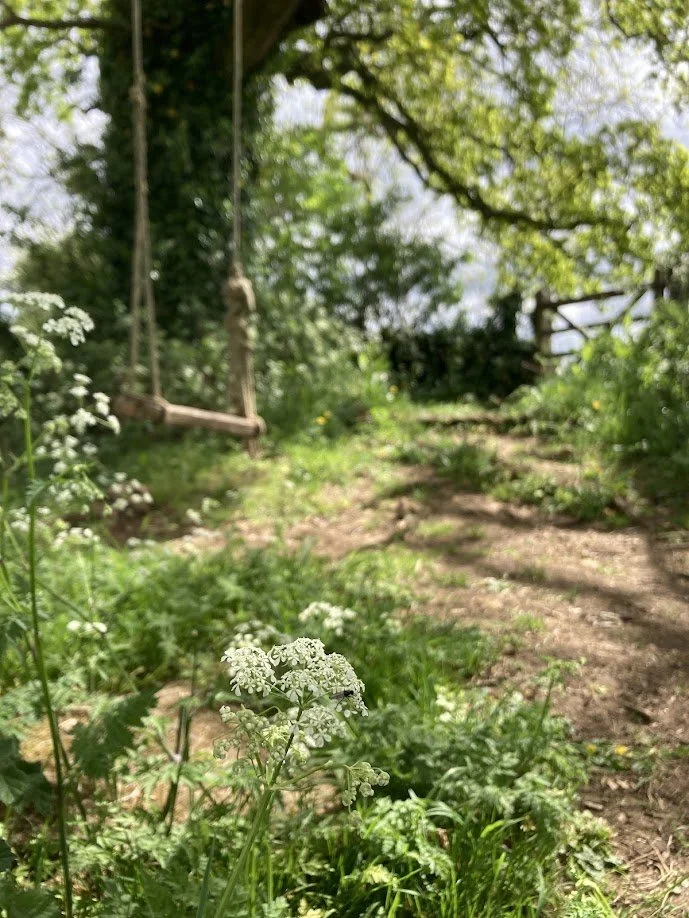 A dirt path in a lush green garden with white flowering plants in the foreground, a wooden swing hanging from a tree on the left, and a wooden fence in the background.
