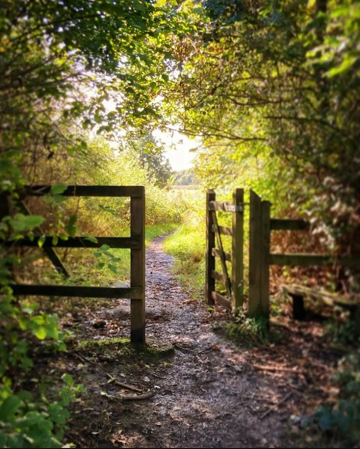 A dirt pathway leading through a wooden gate, surrounded by lush green foliage with sunlight filtering through the trees.