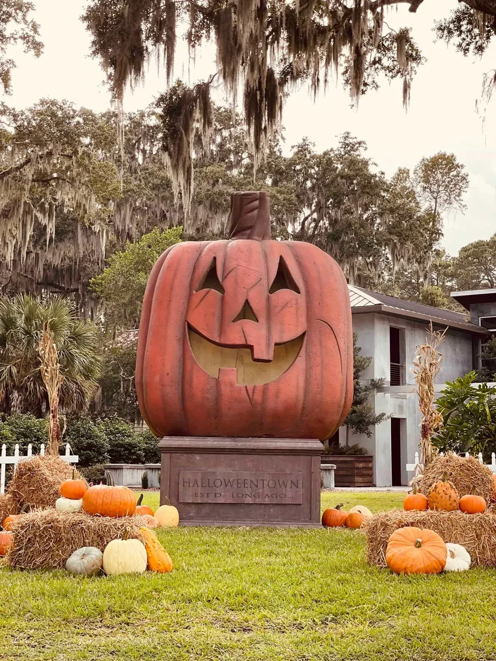 Best Halloween Decorations around!