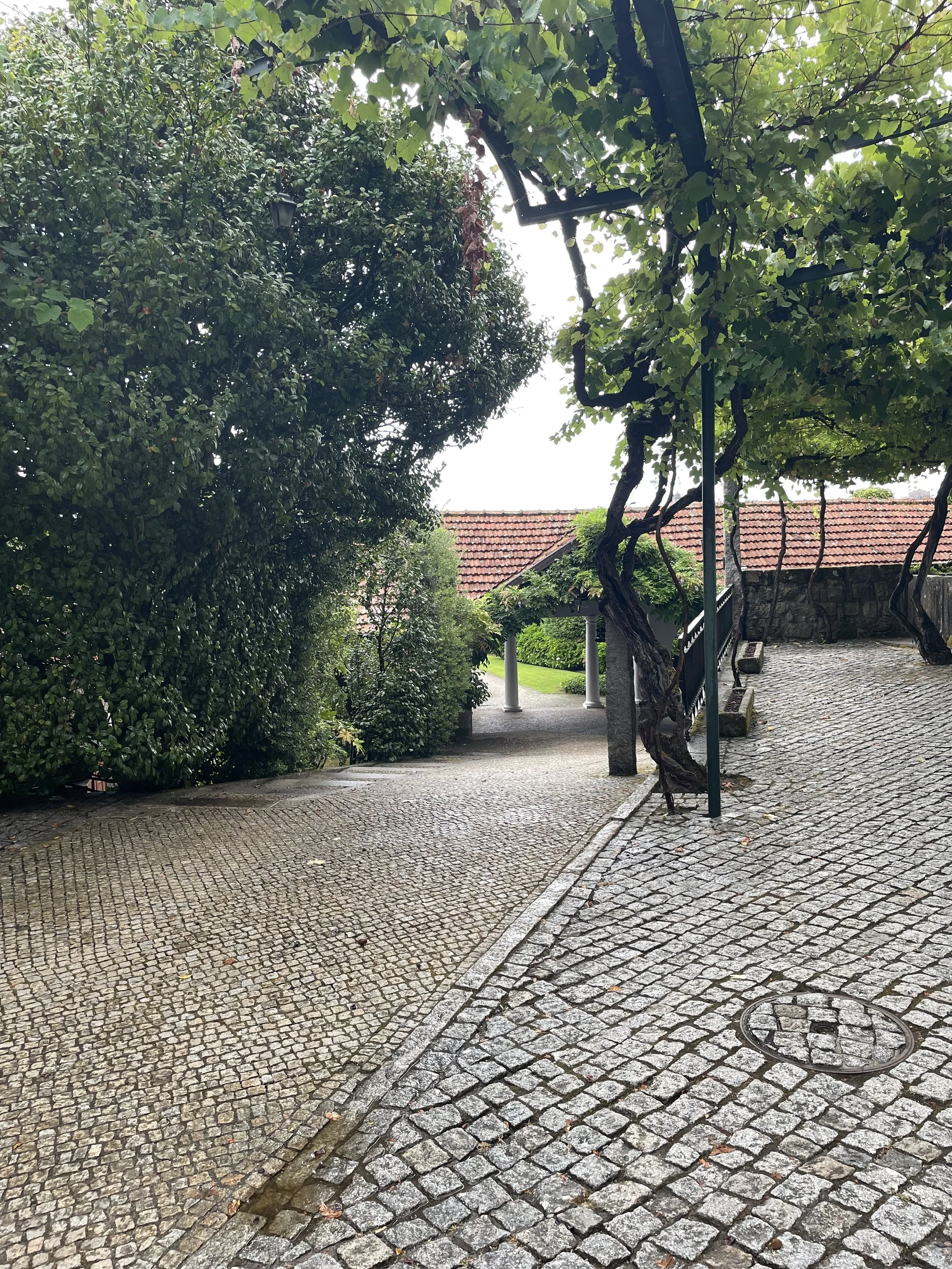 IMG_0179.jpeg