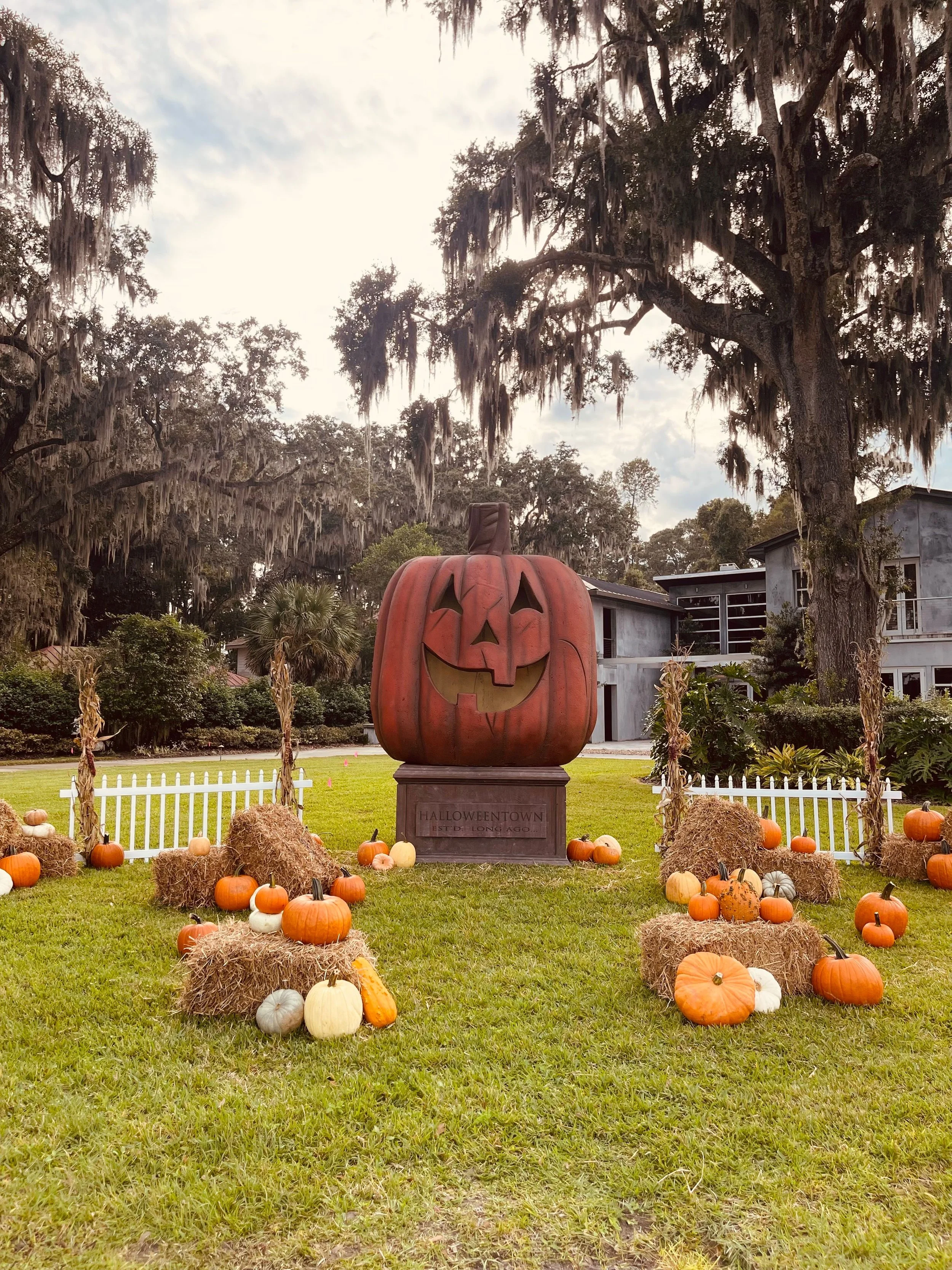 Large outdoor pumpkin display in Savannah