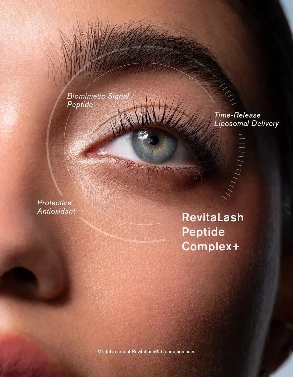 Model_Infographic-Isabella_0cc3b0e1-de3c-46c5-a387-4e7a315c0b41.jpeg