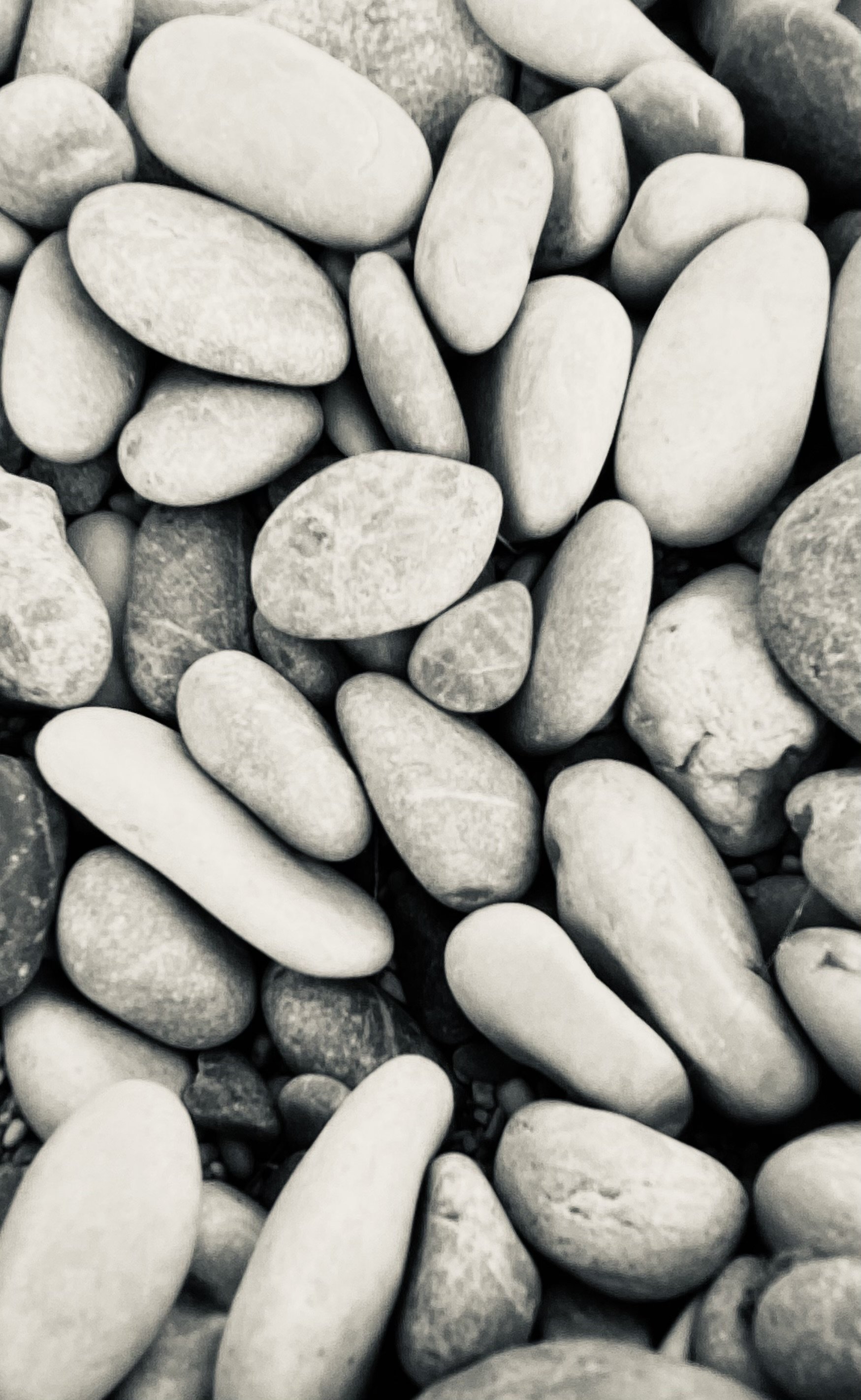 Unterschiedliche Modelle, den Alltag zu gestalten</span>