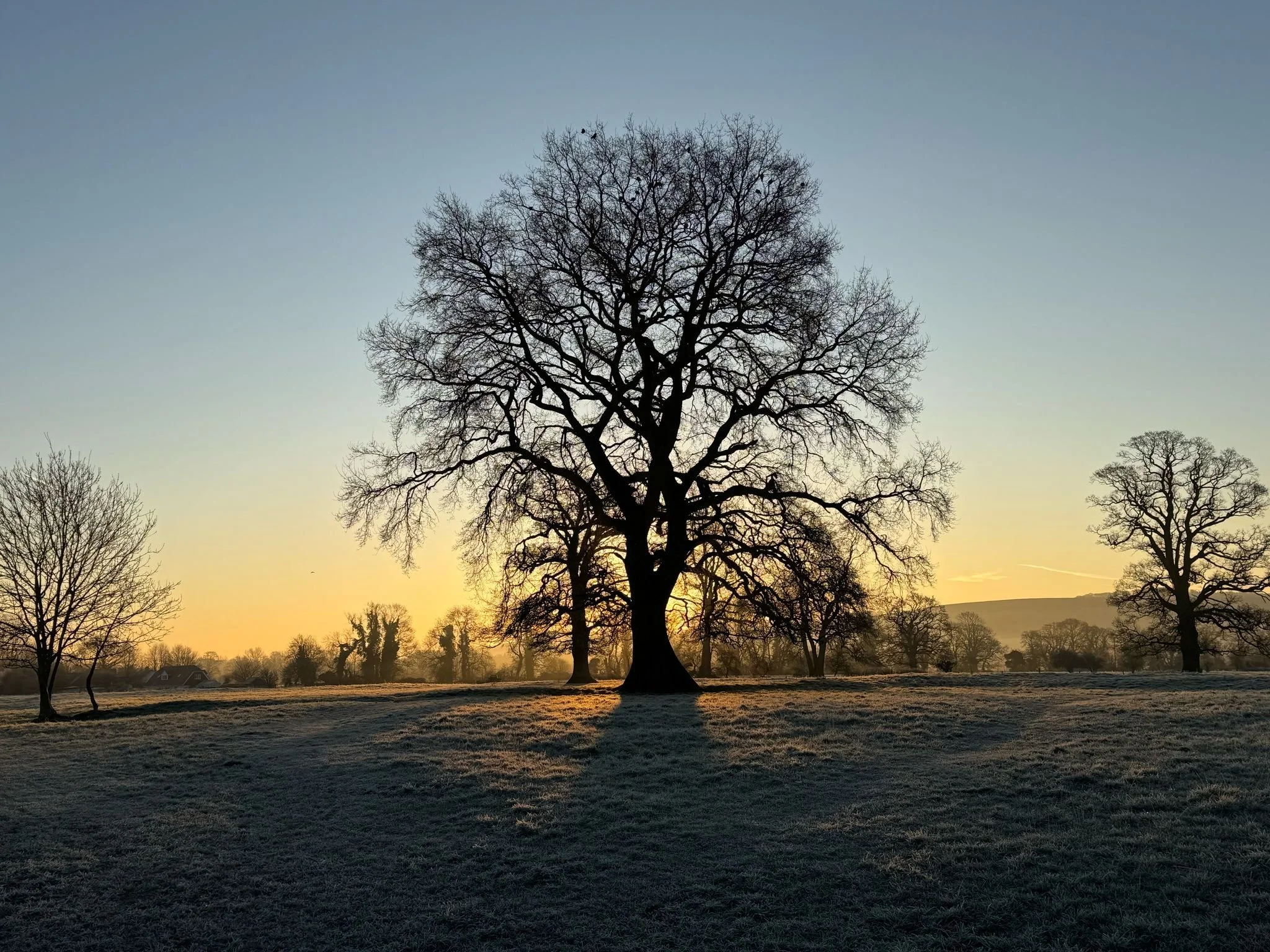 Outdoor counselling Winchester sun rise