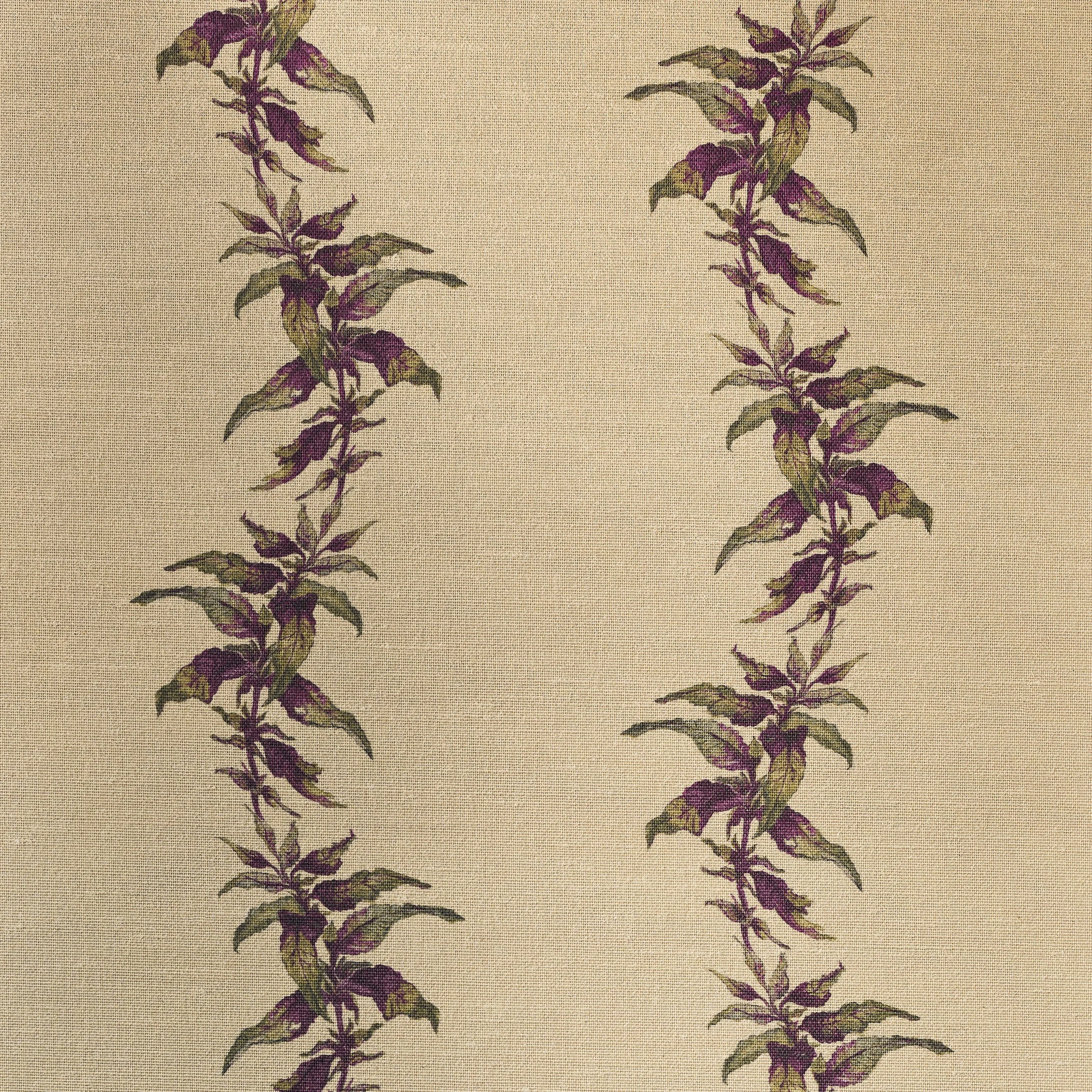 Amaranth_PurpleGreen_JonathanJamesWilson_CutOut.jpg