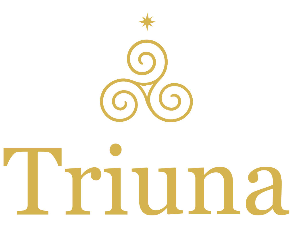 Ein schwarzes Logo mit goldener spiralförmiger Dekoration und dem Wort "Truina" in goldener Schrift.