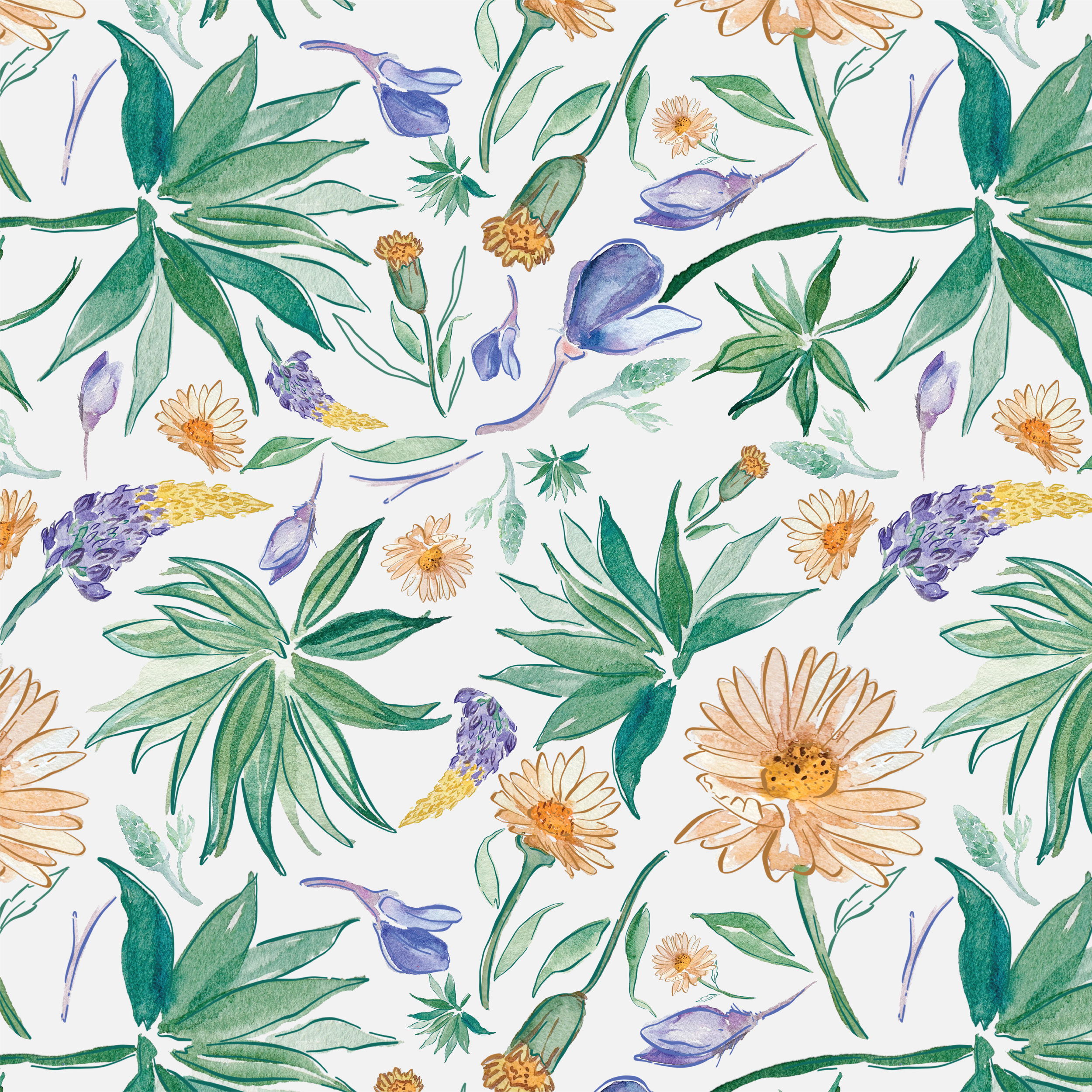 California Breeze.png