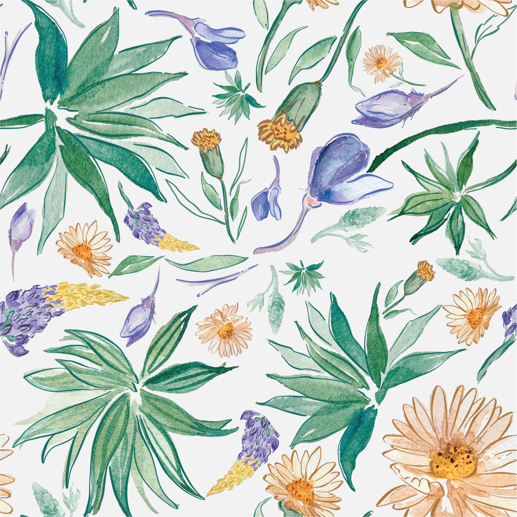 California Breeze_800.png