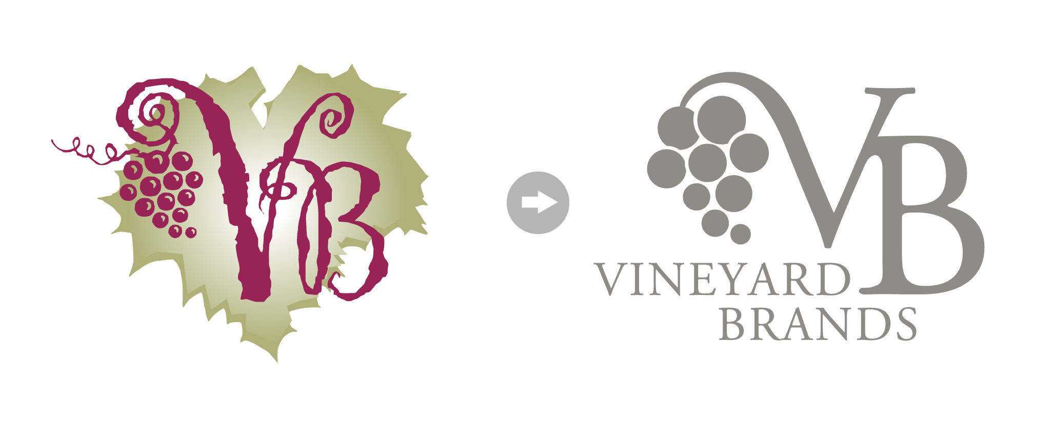 VB Logo_rebranding.png