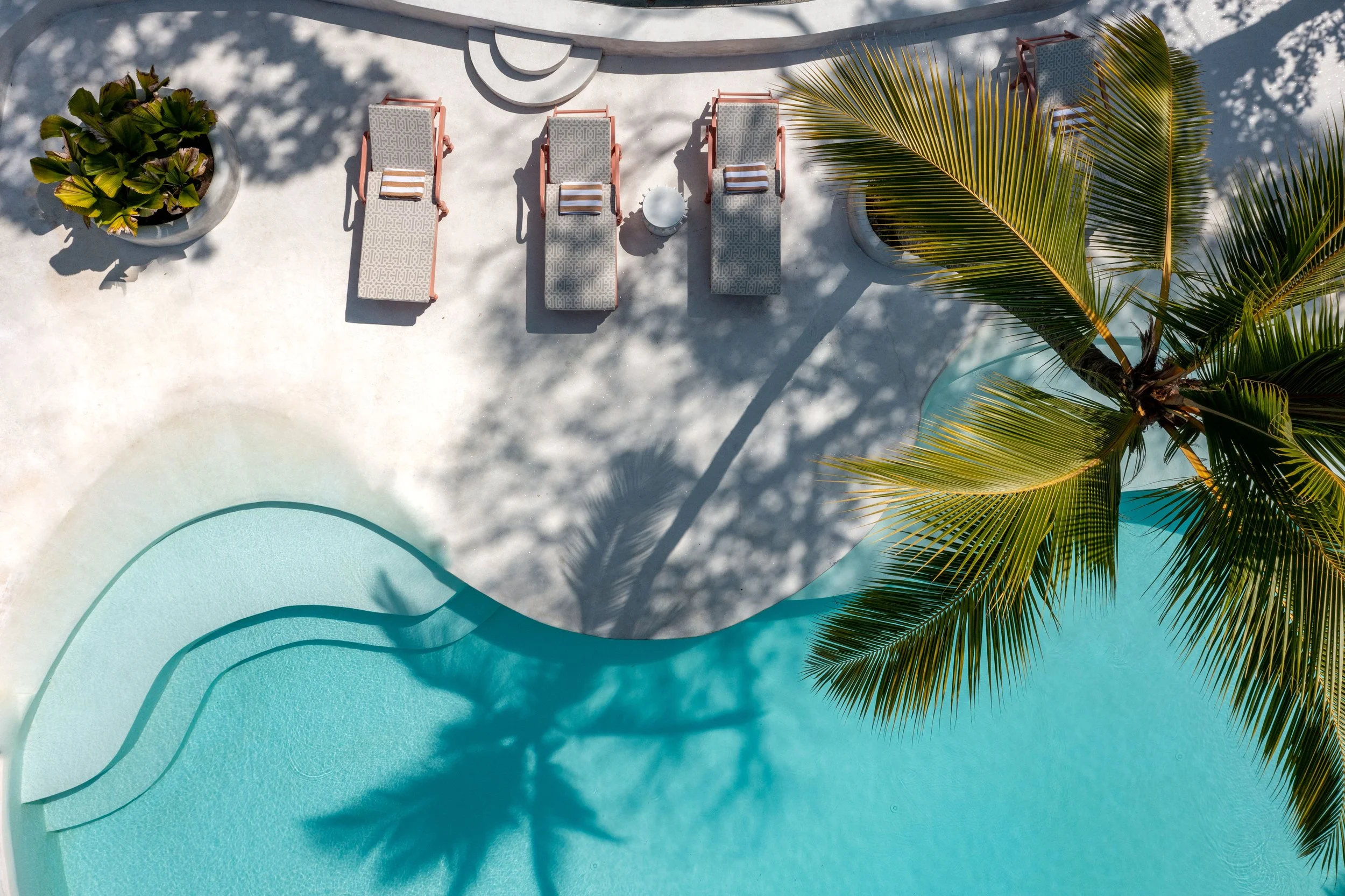 Overhead view of a swimming pool with three lounge chairs, a small round side table, a potted plant, and a large palm tree casting shadows in a tropical setting.
