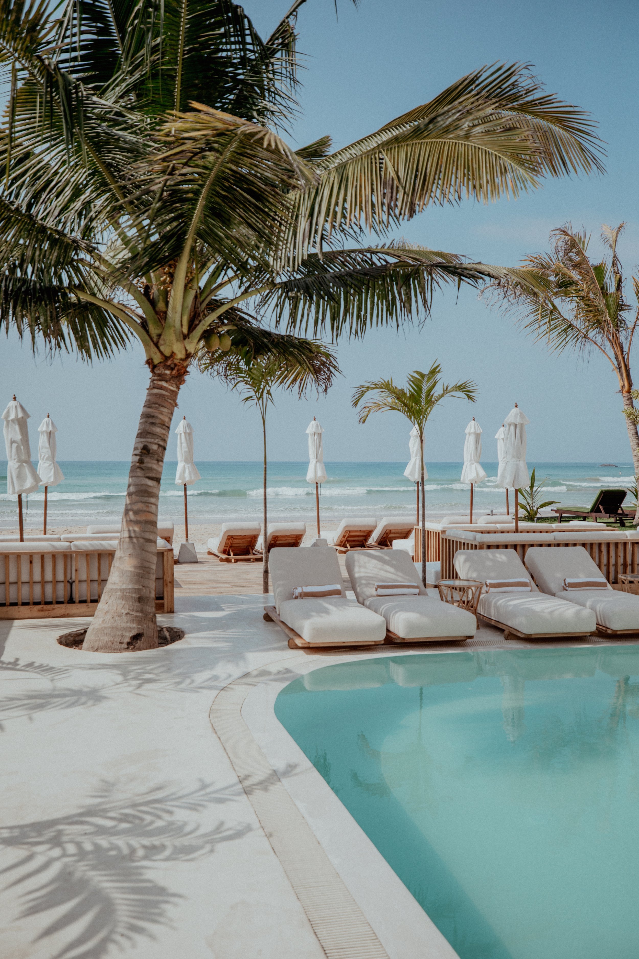 Poolside view at a beach resort with white lounge chairs, beach umbrellas, and palm trees overlooking the ocean.