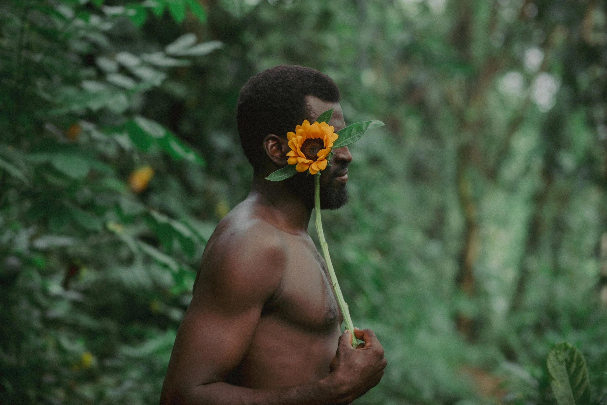 A shirtless man standing in a green forest holding a sunflower with two green leaves in front of his face.
