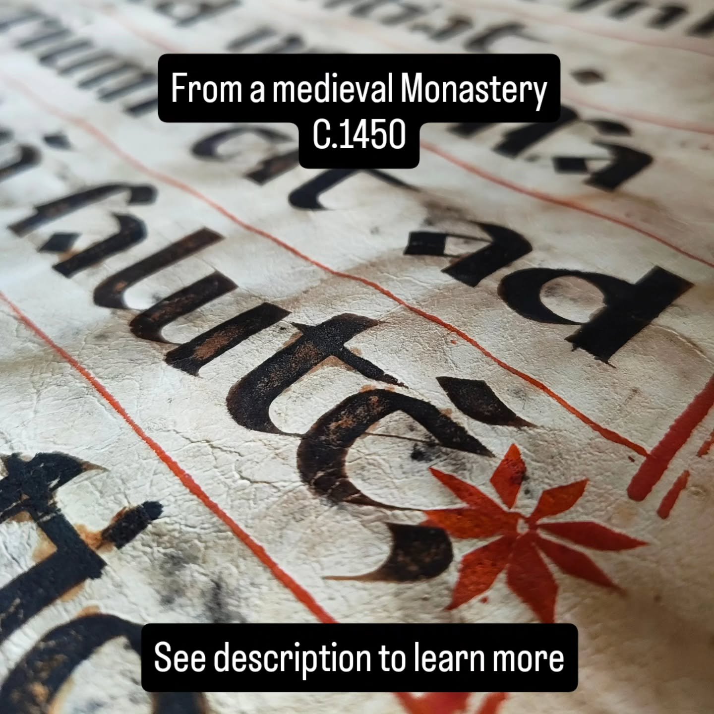 More than five centuries ago, these remarkable parchment leaves formed part of a monumental choirbook used in the liturgy of a church or monastery. Measuring over half a meter in height, the manuscript was designed so that several singers could read 