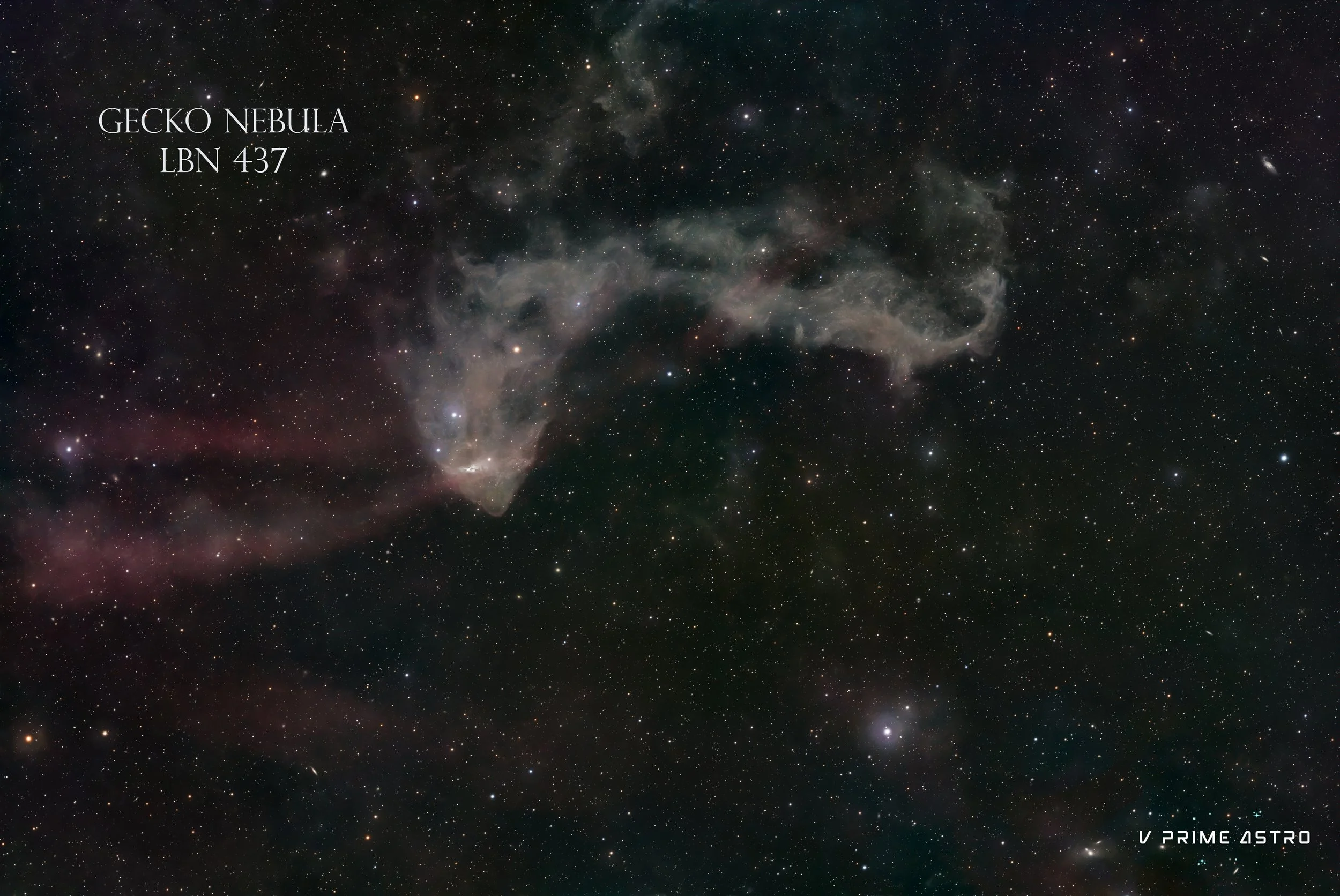 Image of the Gecko Nebula (LBN 437) with numerous stars and cosmic clouds in space.