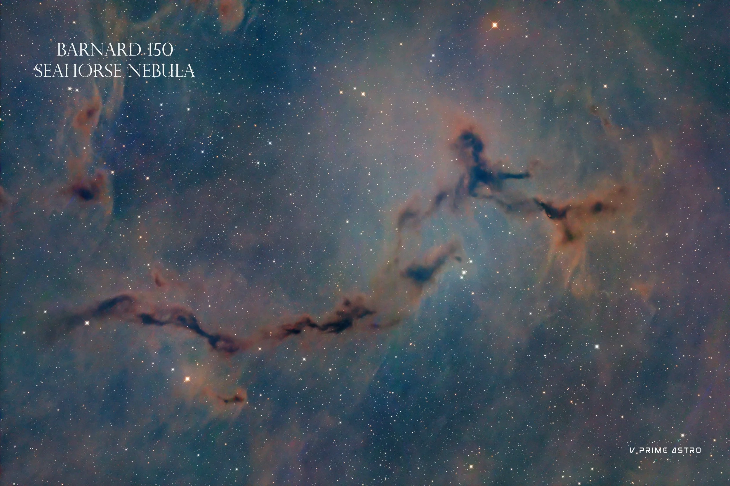 Deep in the tail of Scorpius, the dark dust lanes of Sandqvist 17 rise like a wolf throwing its head back to the stars, while NGC 6231 (a young open cluster barely 3 to 5 million years old) blazes nearby. 