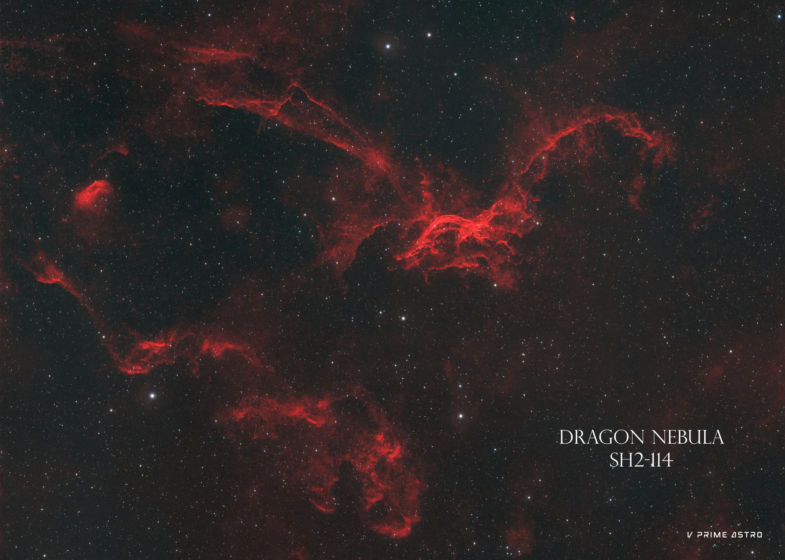 SH2_114_Dragon_Nebula_Crop_Orientation_Web_Host.jpg