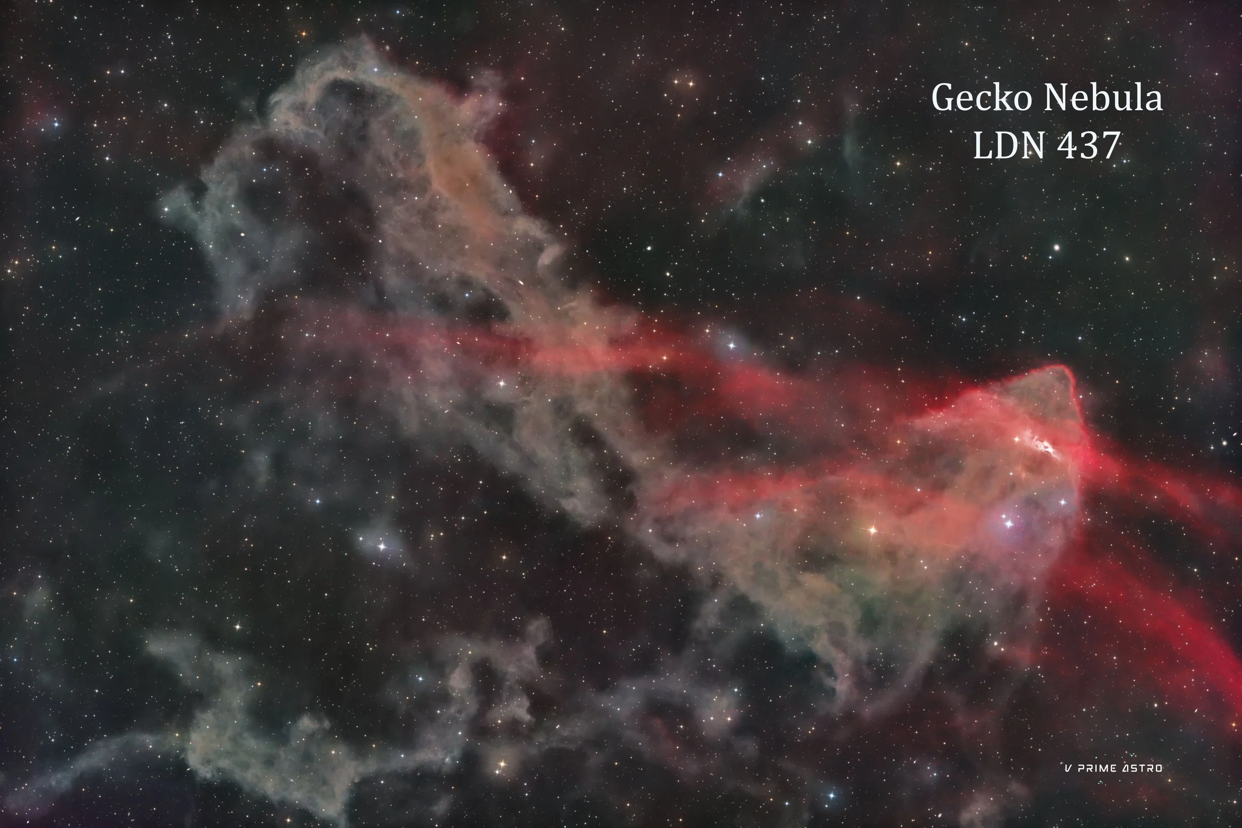 A high-resolution image of the Gecko Nebula (LDN 437) showing colorful gas and dust clouds in space with stars scattered throughout, and text labeling it as Gecko Nebula LDN 437 in the upper right corner.