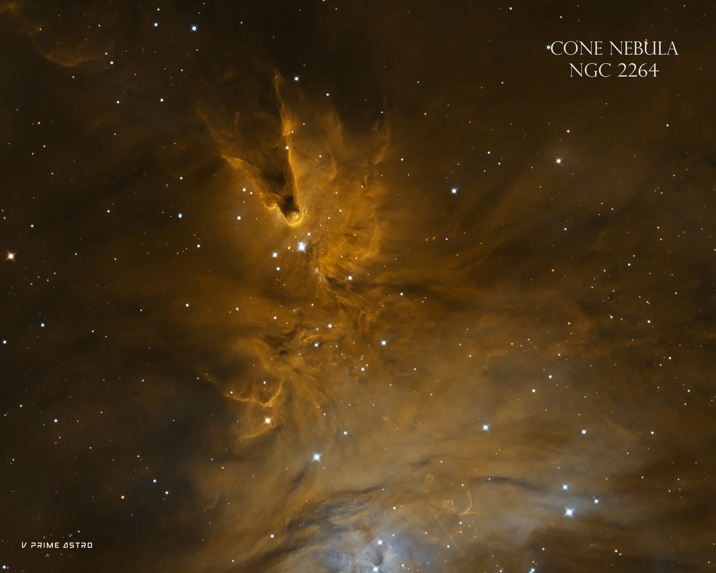 A detailed image of the Cone Nebula, part of the NGC 2264 star cluster, showing dark, dusty formations and glowing gas in space, with numerous stars scattered throughout the background.