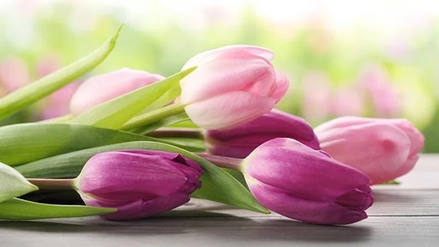 May is here—and so are we.