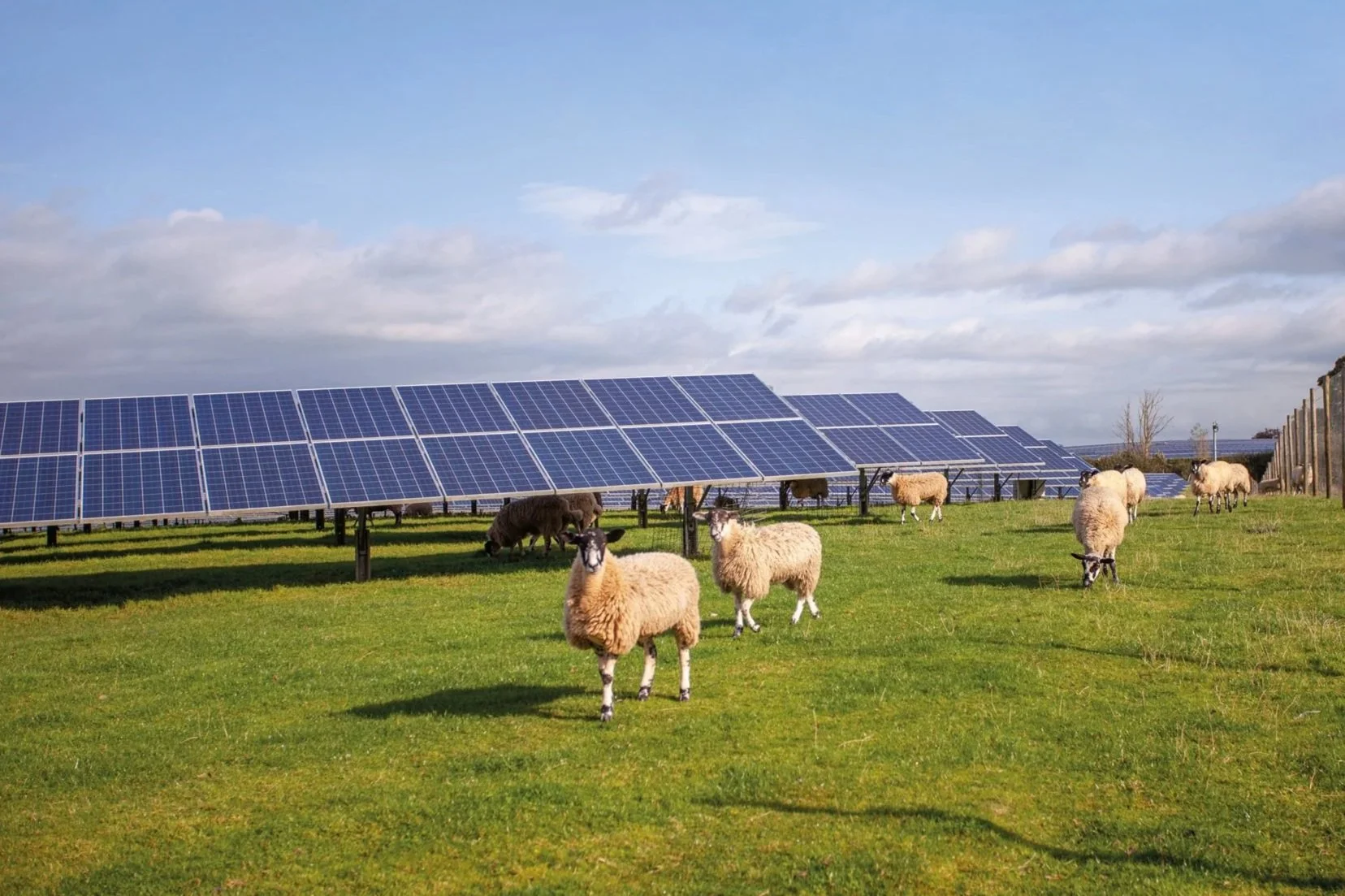 Humberhead Solar