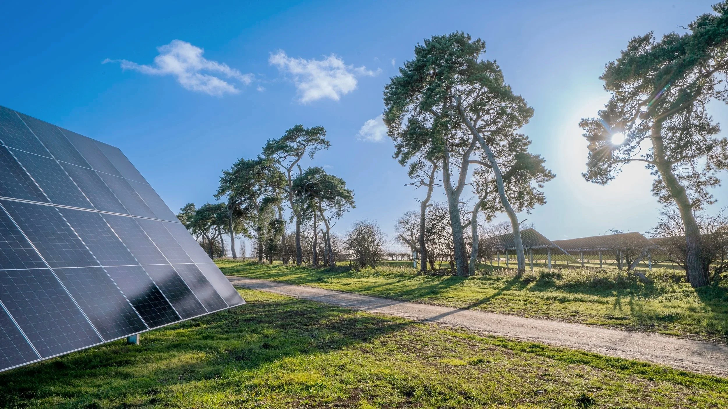 The edge of a solar farm. On the left, there are solar panels. A tree-lined track runs past them.