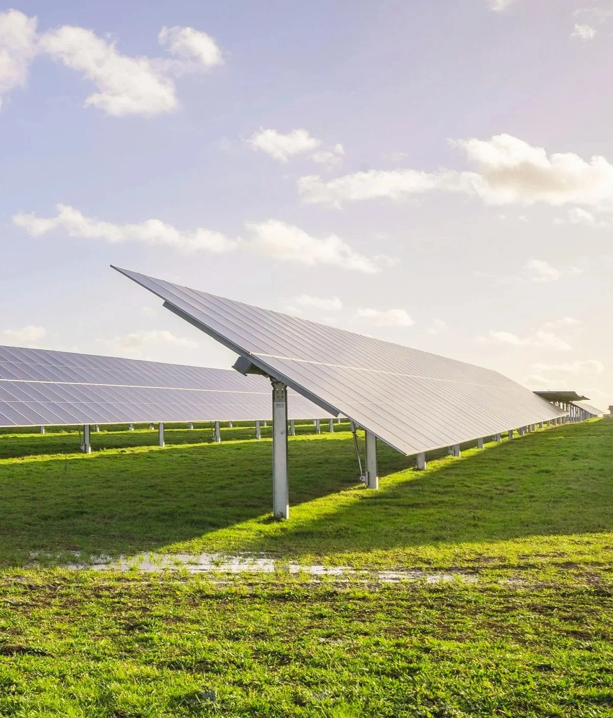 Solar panels installed on a grassy field under a blue sky with a few small white clouds.