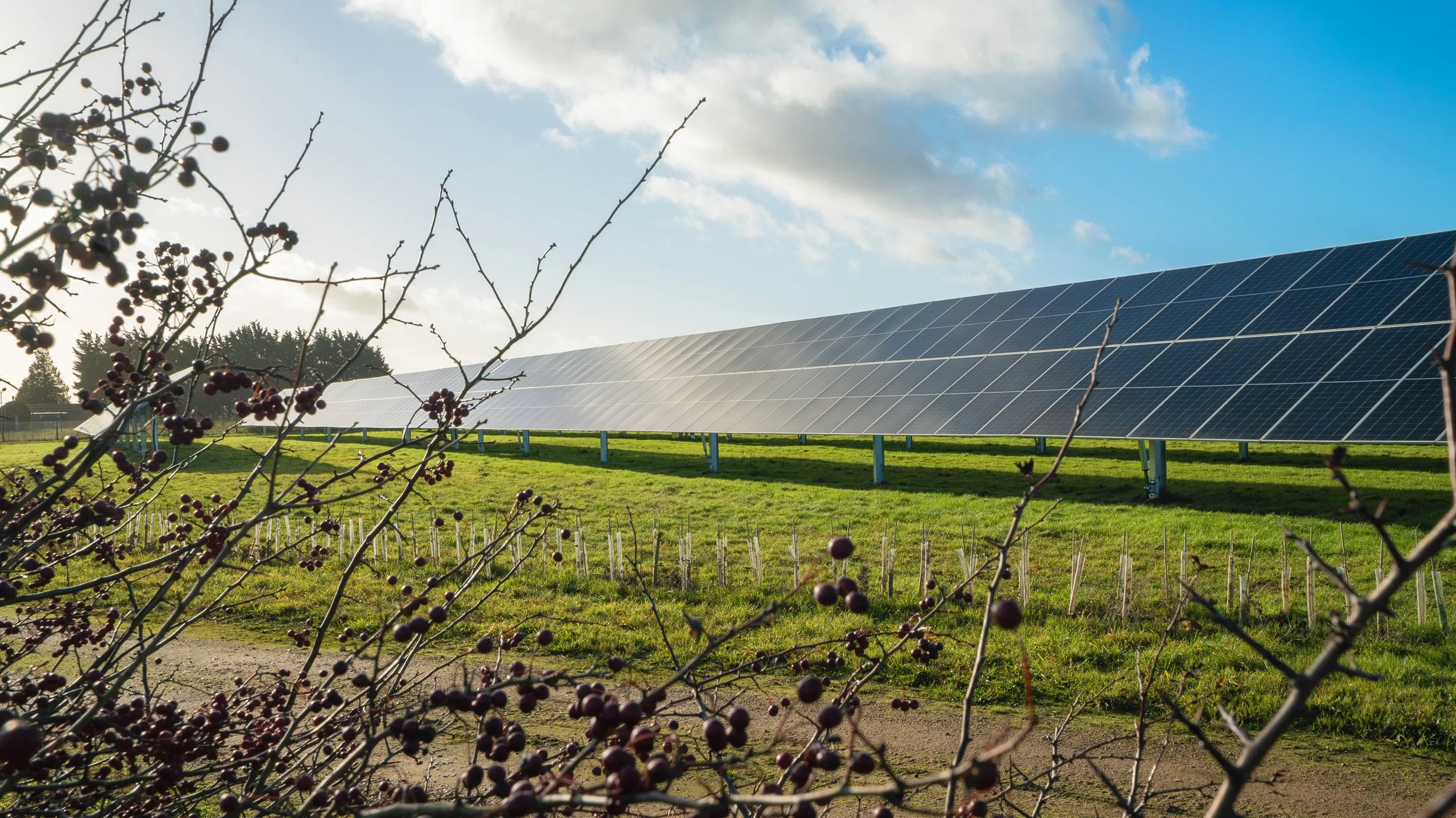 About us — Humberhead Solar