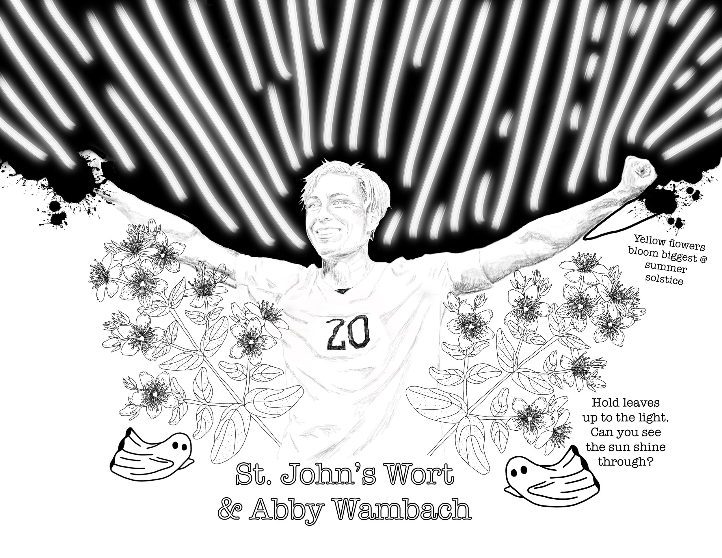 Bada$$ Women and Plants: A Calendar