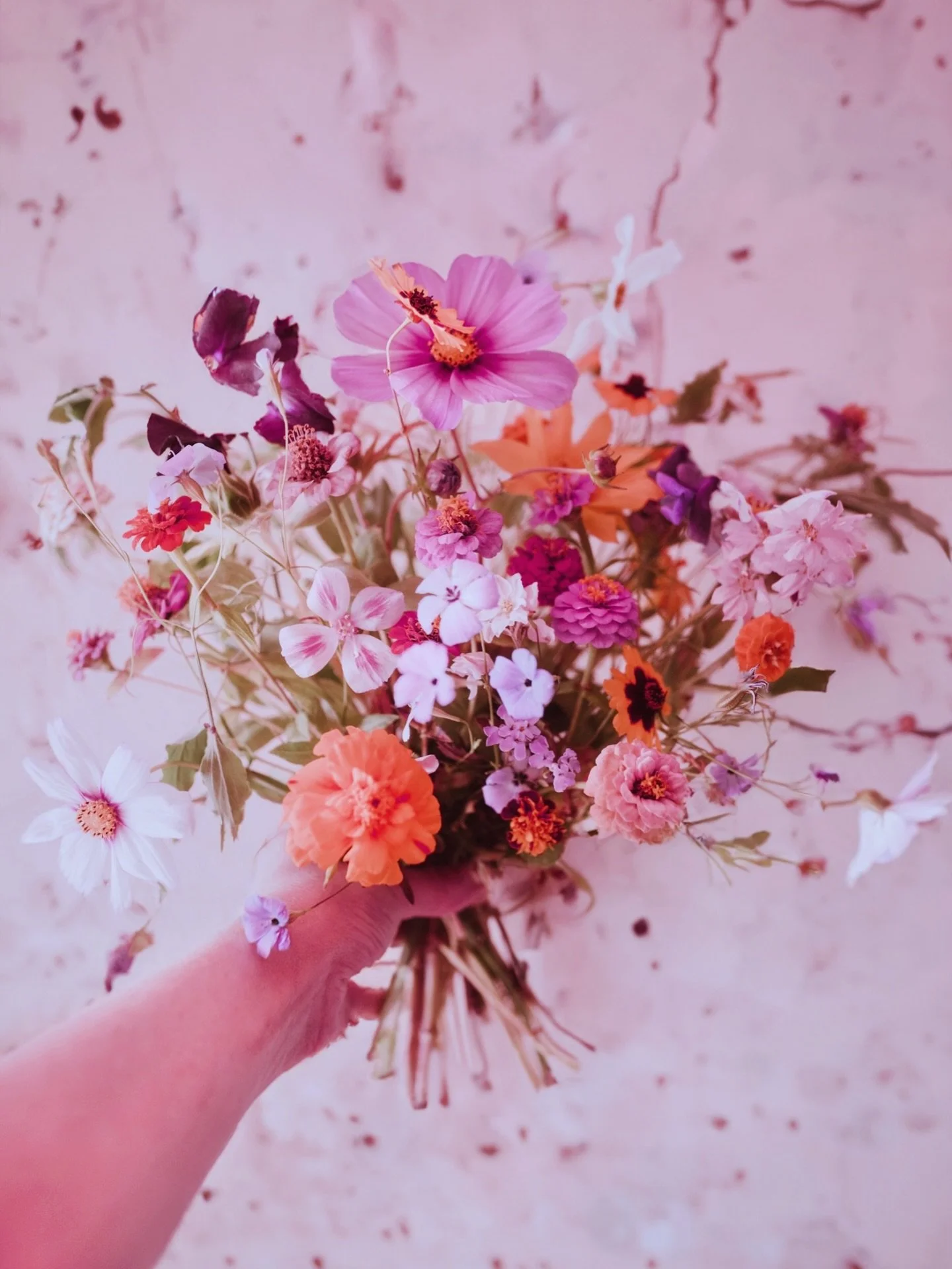 Les petits bouquets du jardin sont les plus mignons 🌸
Le plaisir de cueillir les fleurs que tu as fais pousser et de les assembler 🫧
.
.
.
🌸Cr&eacute;ation florale sur-mesure &mdash; Studio Minuit Sauvage, pour les &acirc;mes qui vibrent.

#fleuri