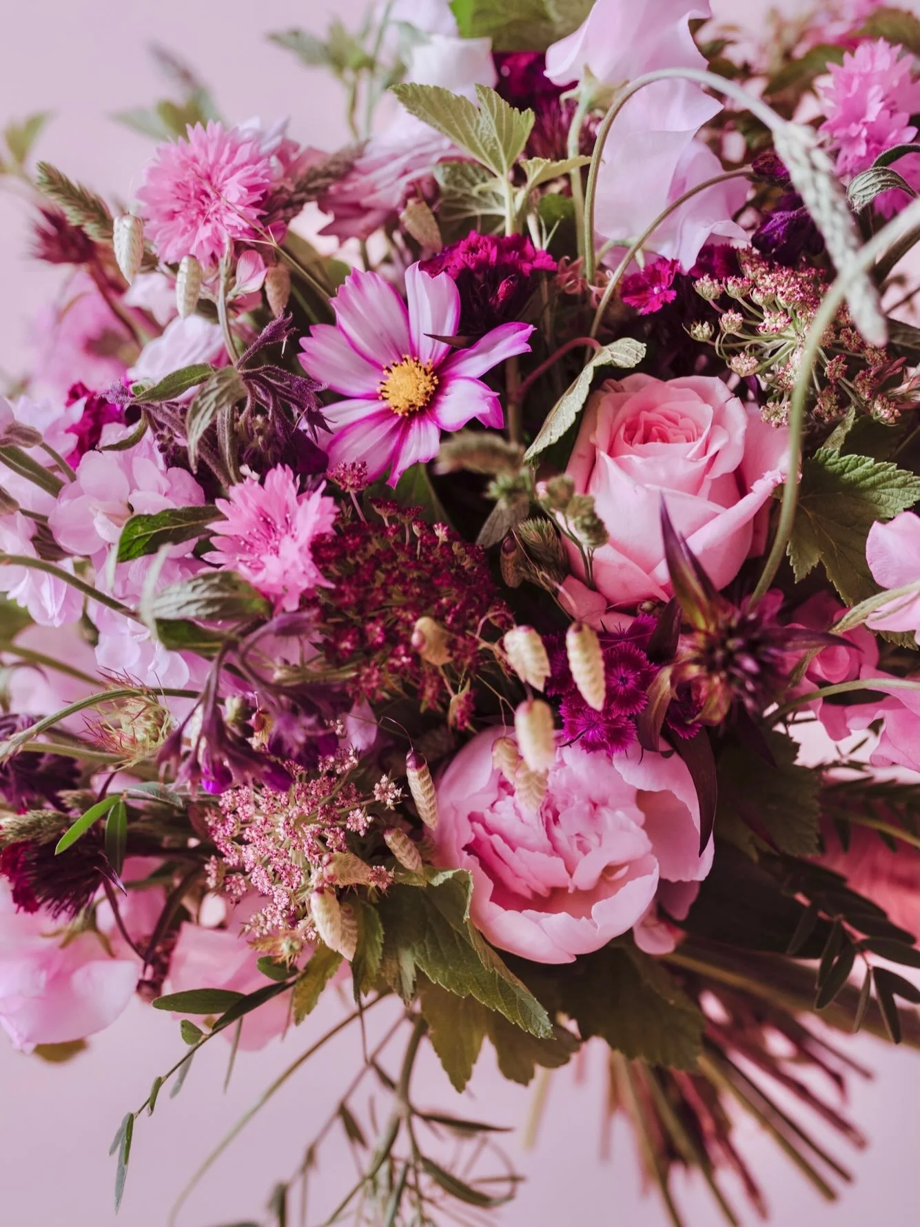 Mon joyeux Brouhaha Floral 🌸
Les pieds ds les feuilles, les mains ds les fleurs, l&rsquo;esprit en &eacute;bullition, le visage &eacute;merveill&eacute;e.

Claire de Grenouille ~ Fleuriste Po&eacute;tique &agrave; Chamb&eacute;ry

#grenouillefleurs 