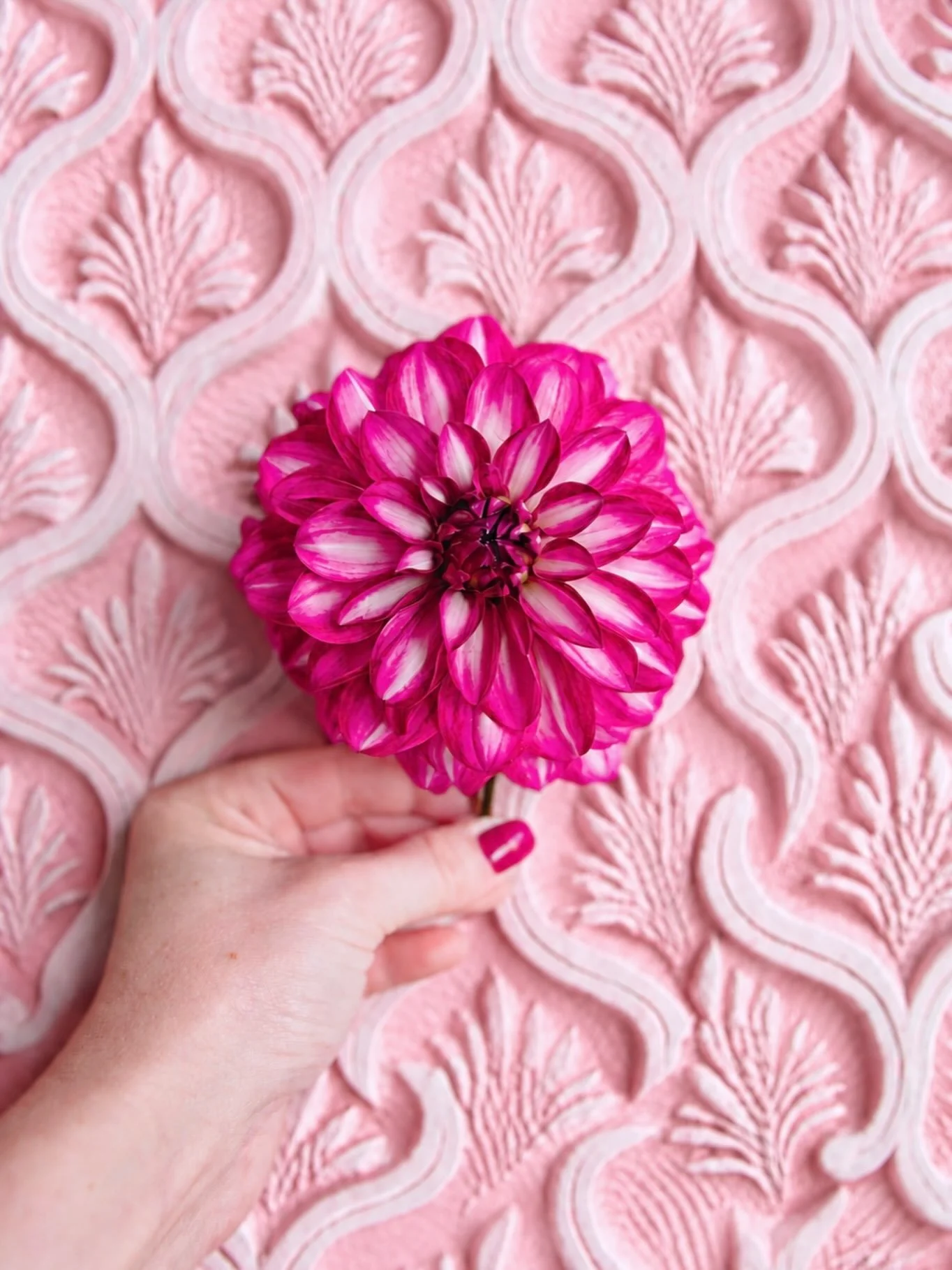 Nail x Dahlia Matching 💗
Pourrais-je vivre sans la couleur rose ? 
.
.
.
#pinkaddict #pinkflowers #dahlia #maisonclairepushpa #fleuristemariage