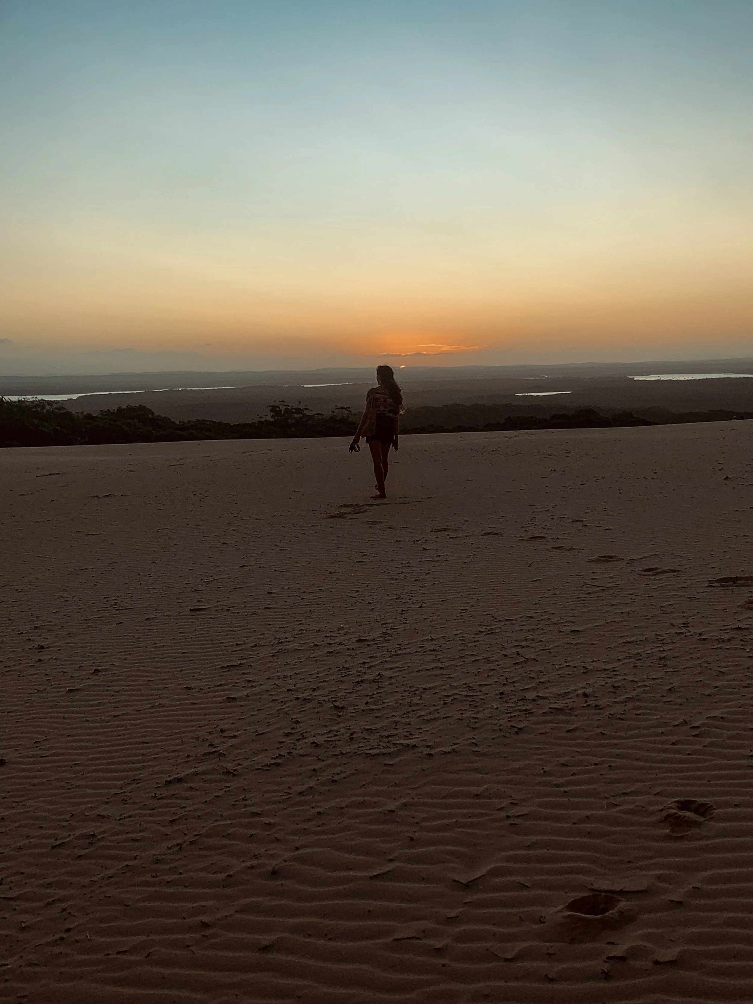 Beach scene with surfboards leaning against a palm tree, sand, ocean, and a sign for watersports.