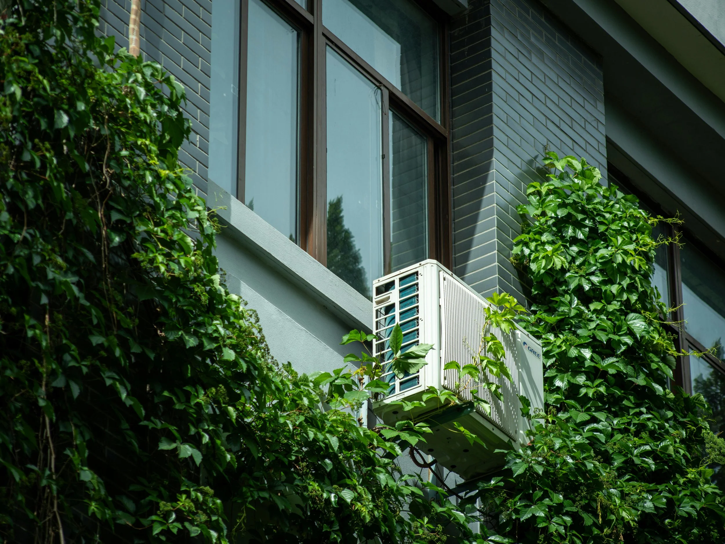 A window air conditioning unit hanging on a window sill above green foliage.