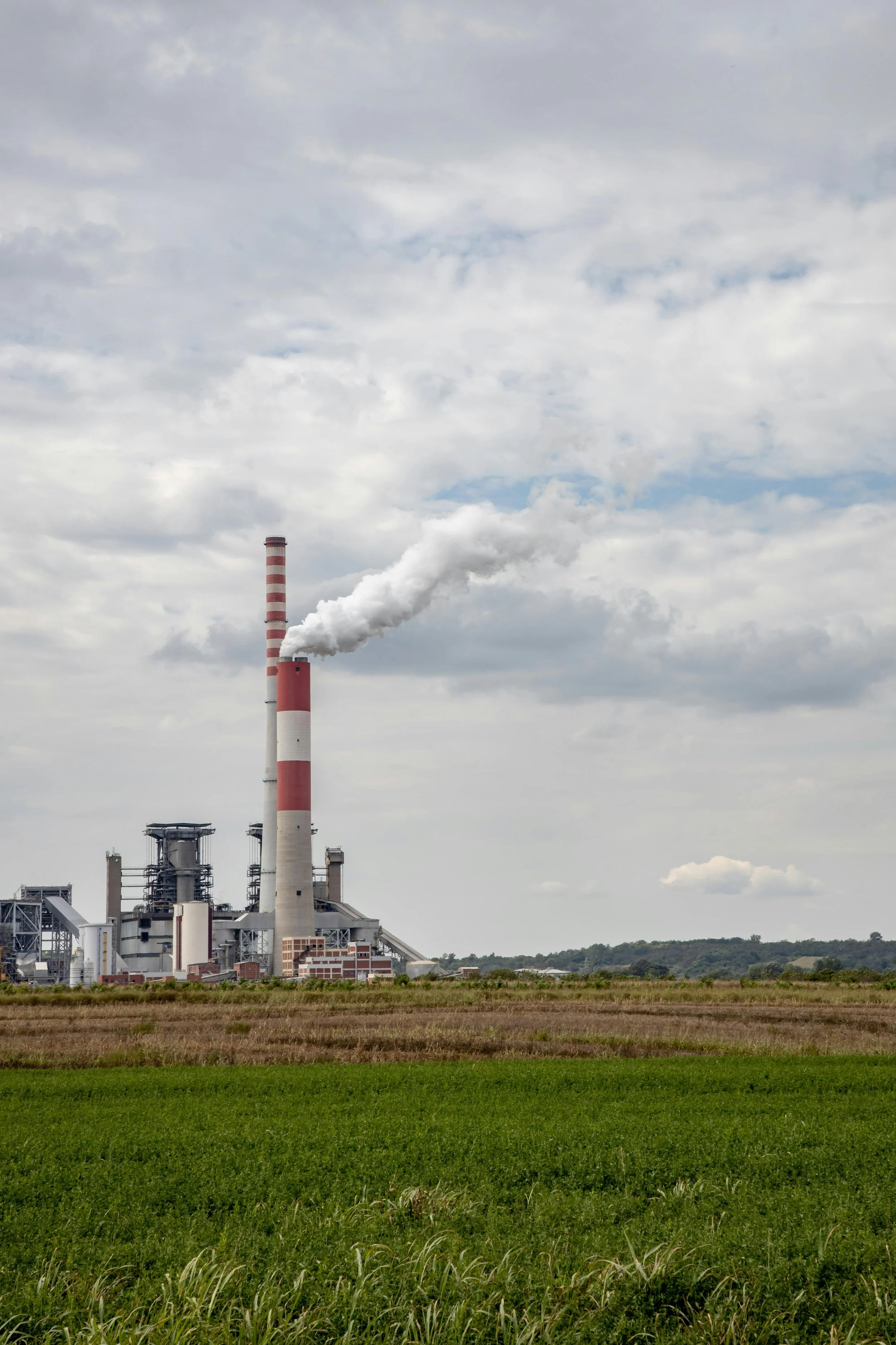Picture of a coal factory in the middle of a green field. 