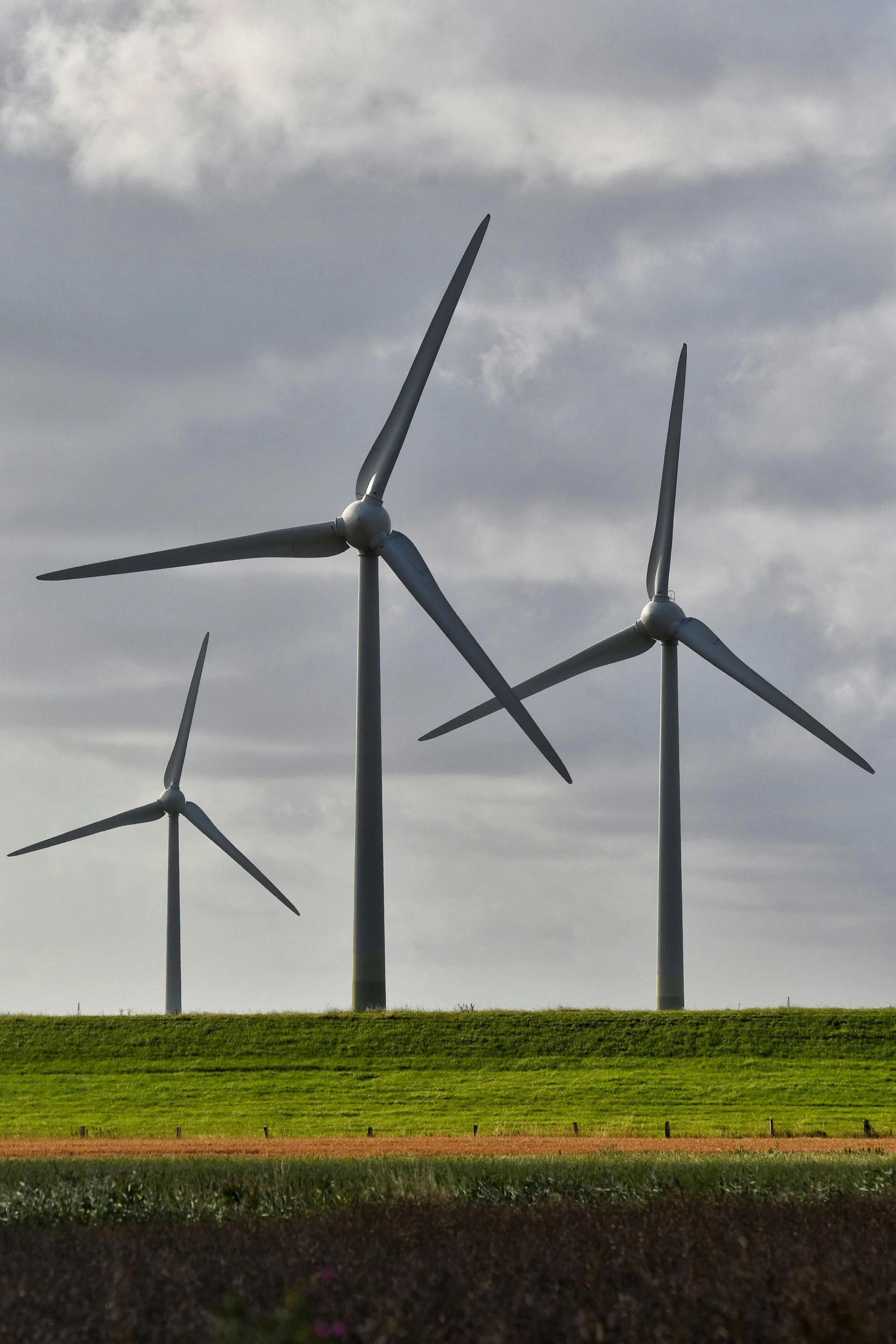Three windmills in a green field.