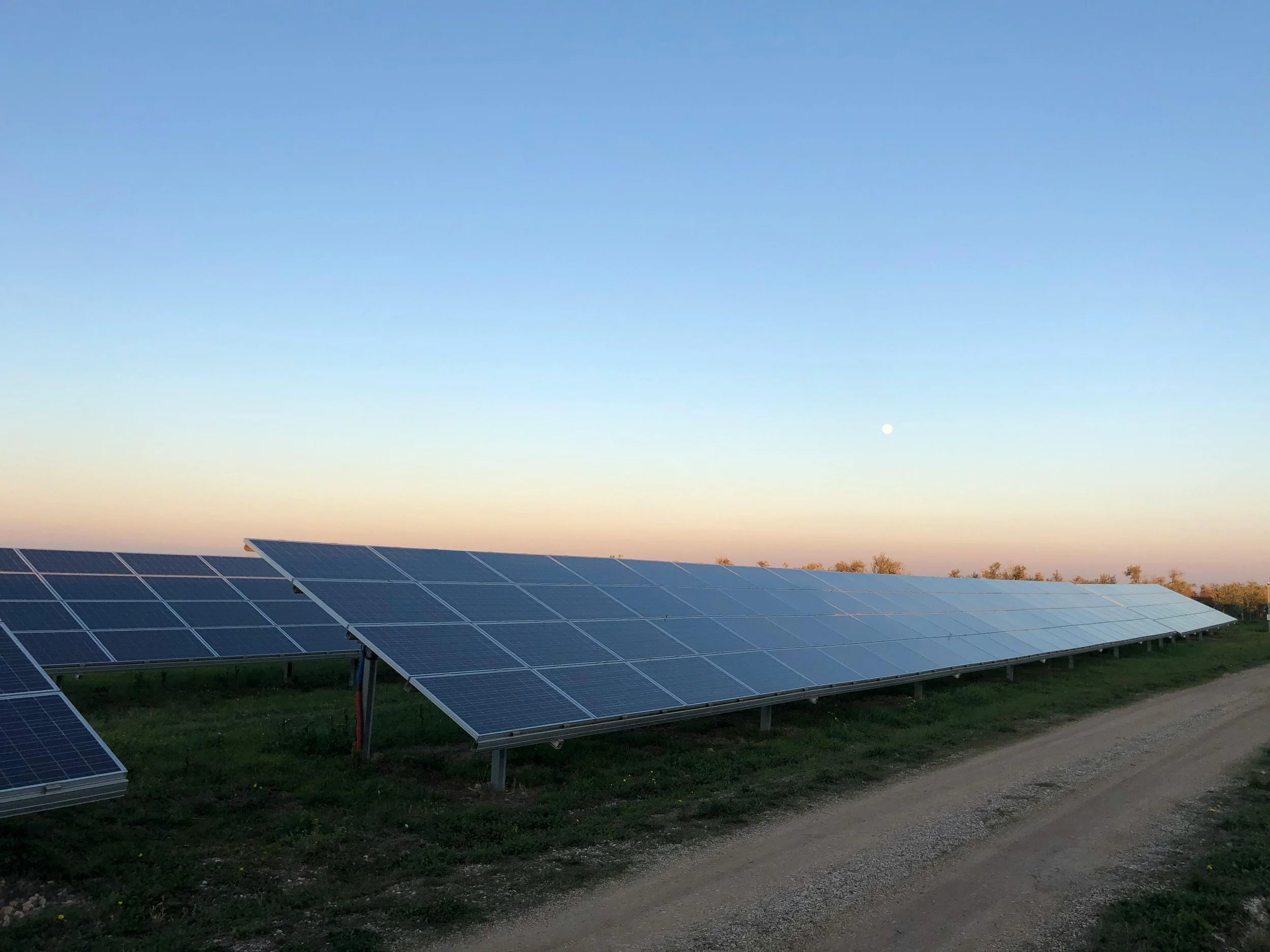 Multiple solar panels in the middle of a field during sunset. 