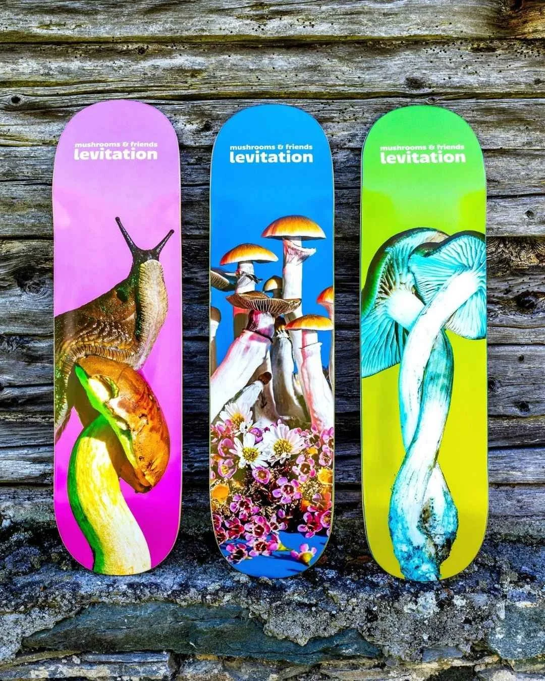 Trois planches à roulettes avec des illustrations de champignons variés, chacune ayant un fond de couleur différente : rose, bleu et vert, portant le texte 'mushrooms & friends levitation'