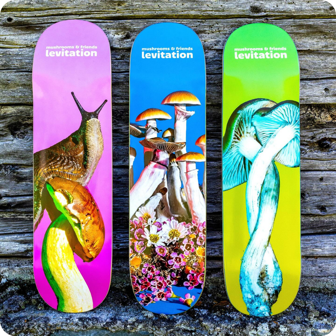 Skates Mushrooms & Friends x levitation
