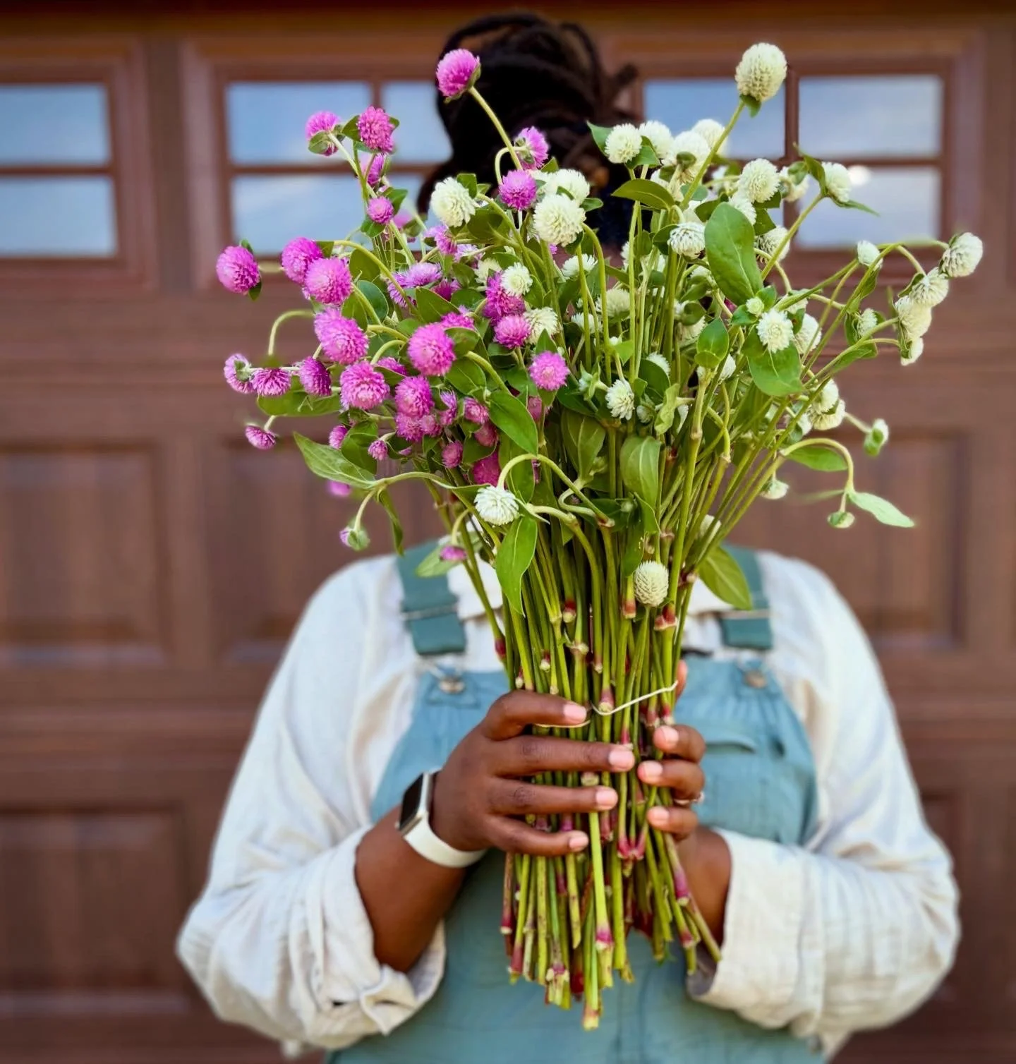 Gomphrena pink white.JPG