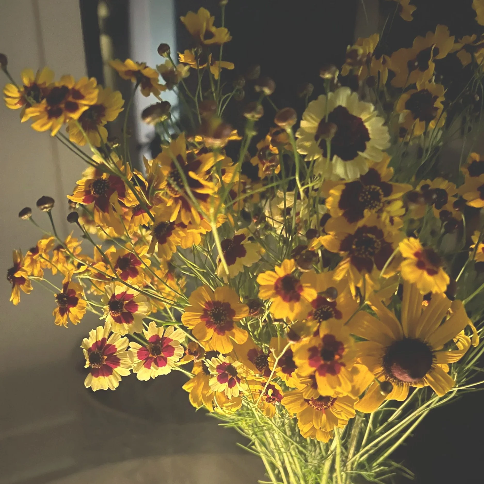 Flowers and the final fine-our backstory