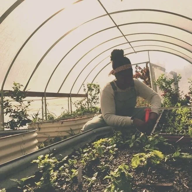 Why Choose Local Flowers?