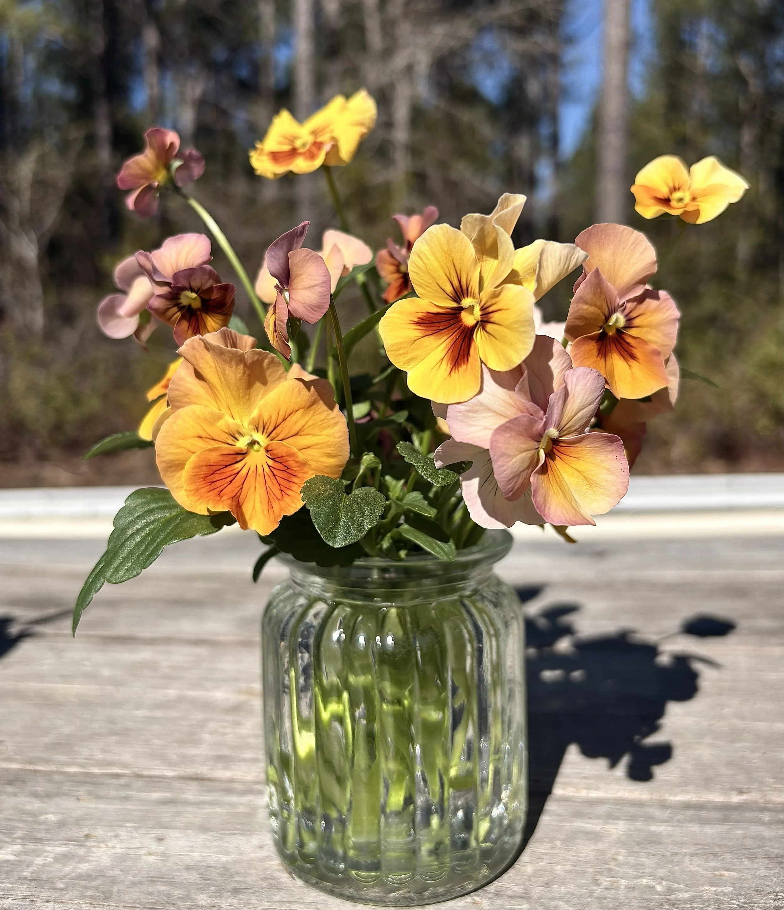 Viola/Pansy Bud Vase Posey