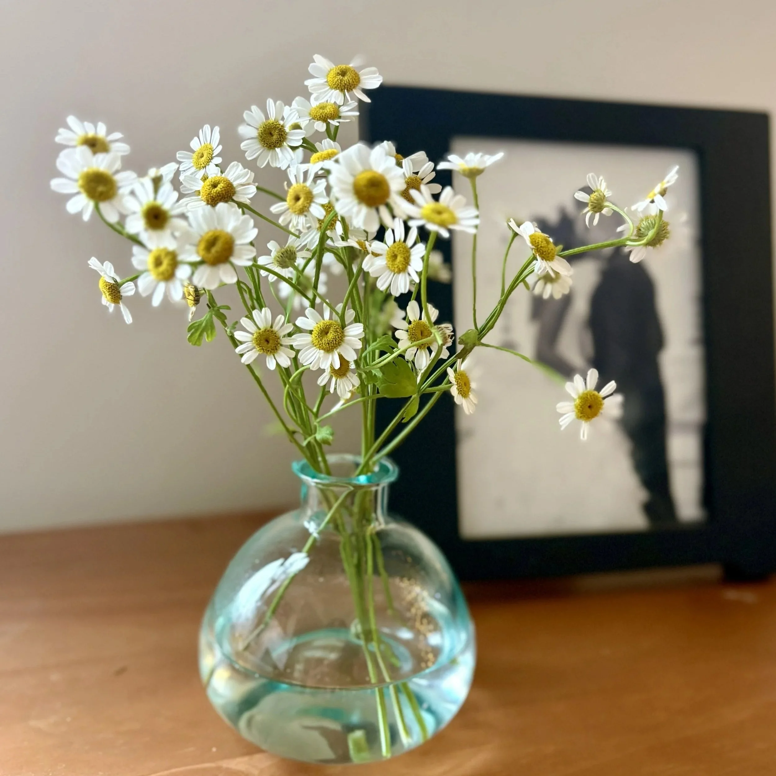 Bud+vase+feverfew.jpg