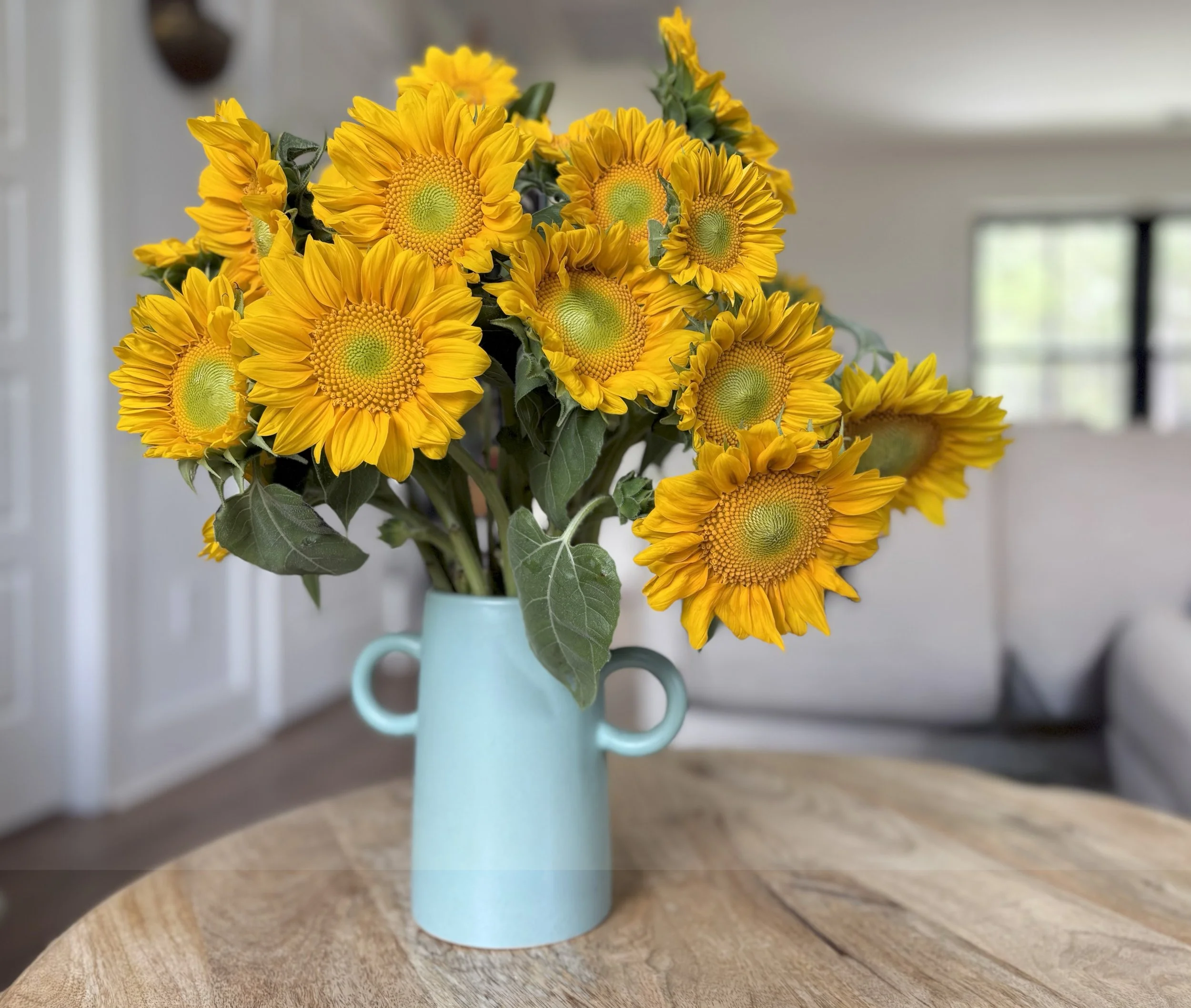 gold lite sunflower.jpeg